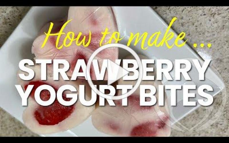 How to Make Strawberry Yogurt Bites