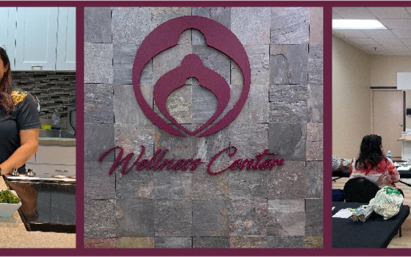Visit the Wellness Center